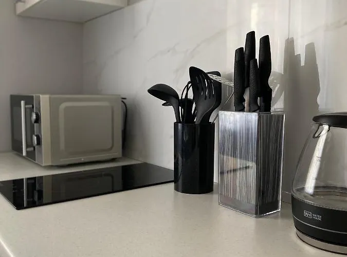 Apartment Serbska Lviv